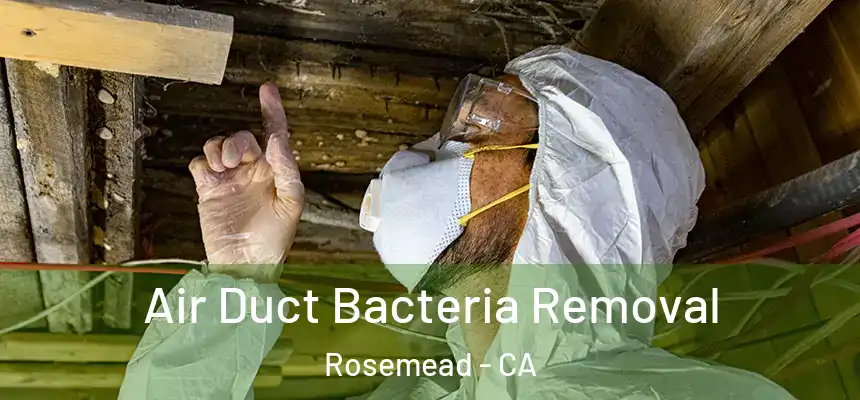  Air Duct Bacteria Removal Rosemead - CA