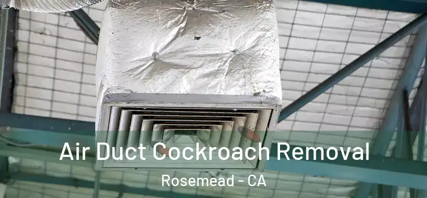  Air Duct Cockroach Removal Rosemead - CA