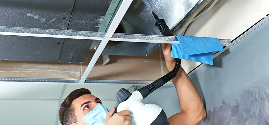 Our Air Duct Rodent Removal Services in Rosemead, CA