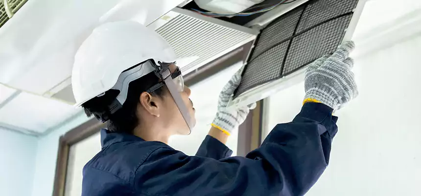 Our Mold & Mildew Removal from Air Ducts Services in Rosemead, CA