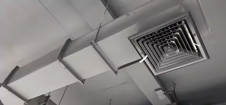 Our Pest Removal From Ducts Services in Rosemead, CA