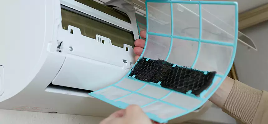 Gentle Ductwork Odor-Control Pet Dander Duct Cleaning in Rosemead, CA