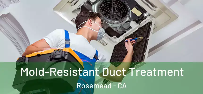 Mold-Resistant Duct Treatment Rosemead - CA