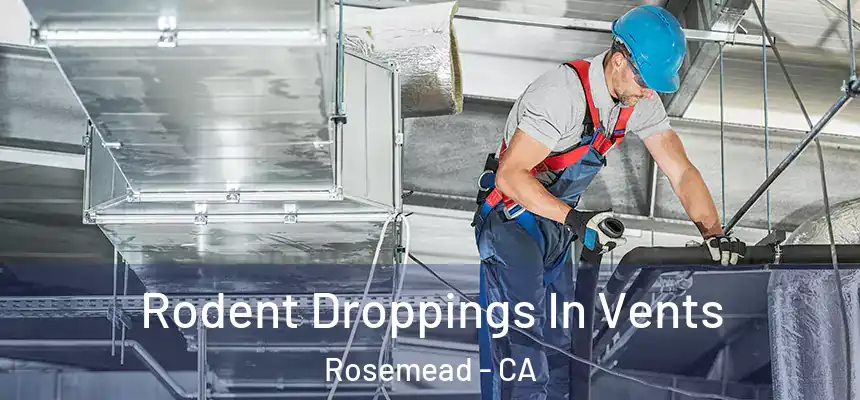  Rodent Droppings In Vents Rosemead - CA