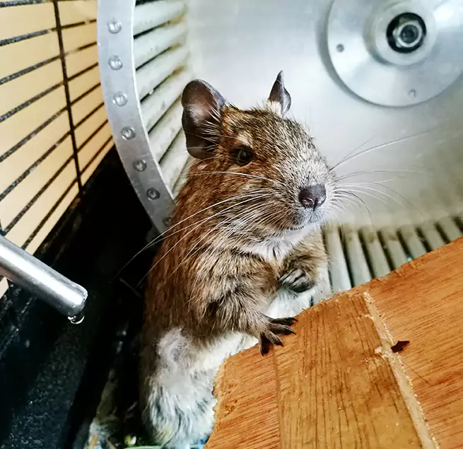 Why Homeowners & Businesses Trust Us Rosemead, CA