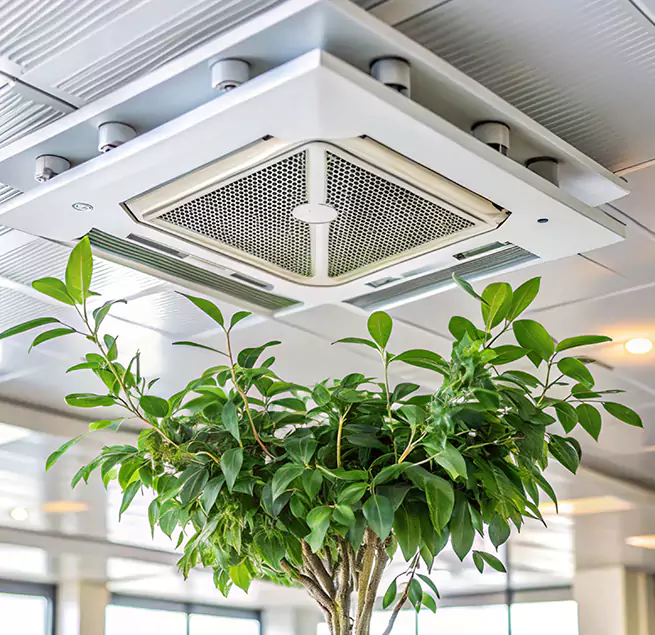 Why Homeowners & Businesses Trust Us in Rosemead, CA